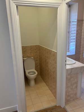 A bathroom with a toilet, a sink, and a shower area.