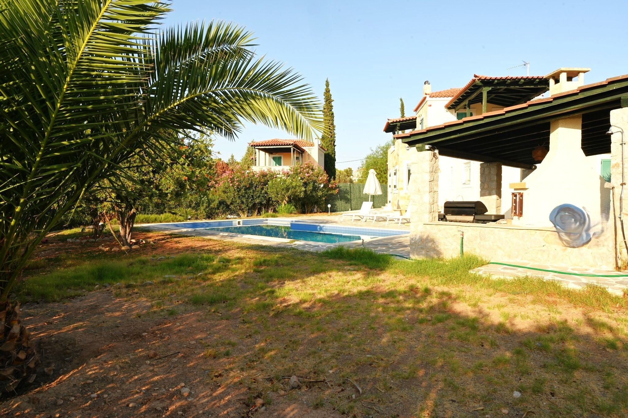 Ein Wohnhaus mit Swimmingpool, Terrassenbereich und Garten mit einer Palme.