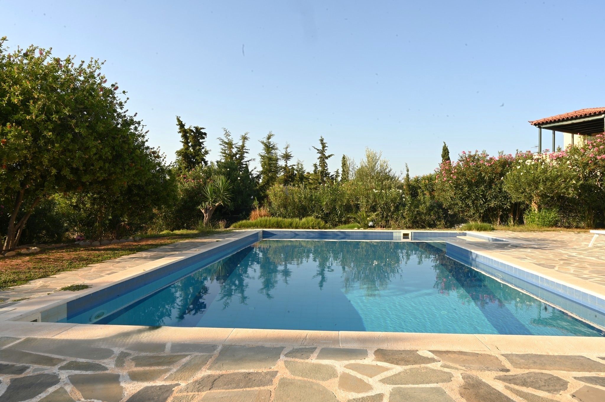 A rectangular swimming pool with clear blue water, surrounded by a stone deck.