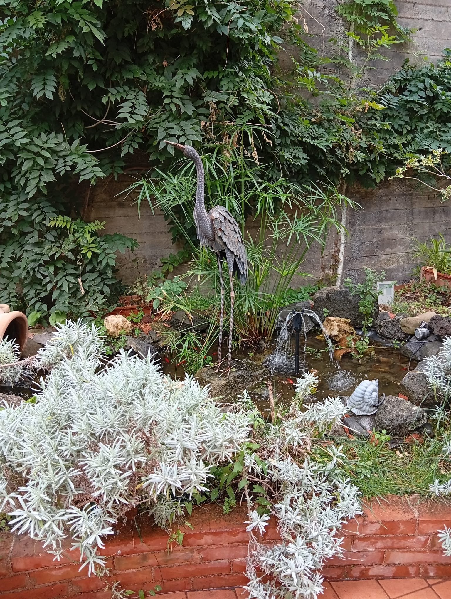 Ein Garten mit einem Wasserspiel, einem Vogel und verschiedenen Pflanzen.