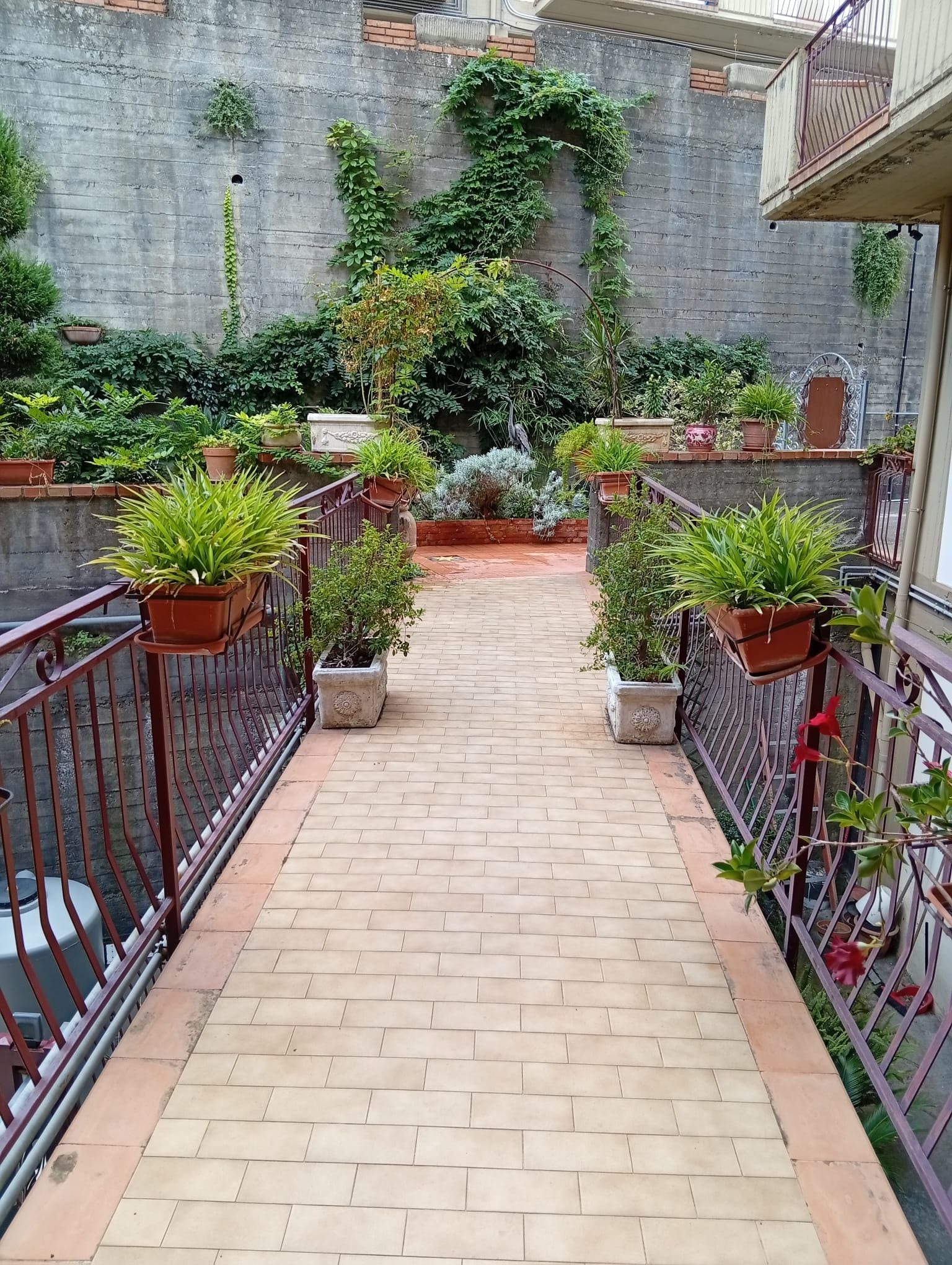 Un camino pavimentado bordeado por plantas en macetas y una barandilla metálica, que conduce a un edificio con un muro de concreto y vegetación.