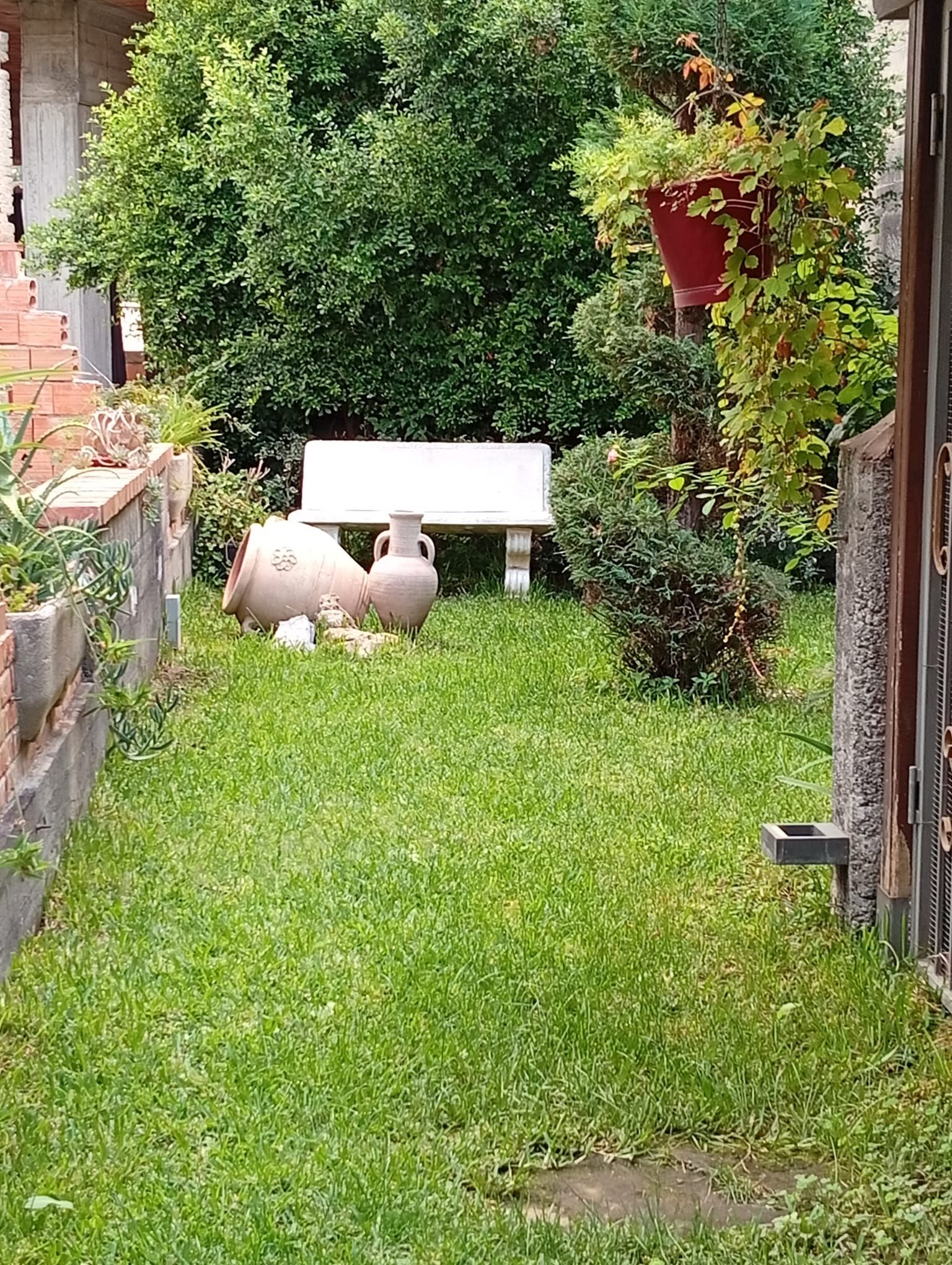 Eine Rasenfläche mit einer Bank und zwei großen Terrakottatöpfen.