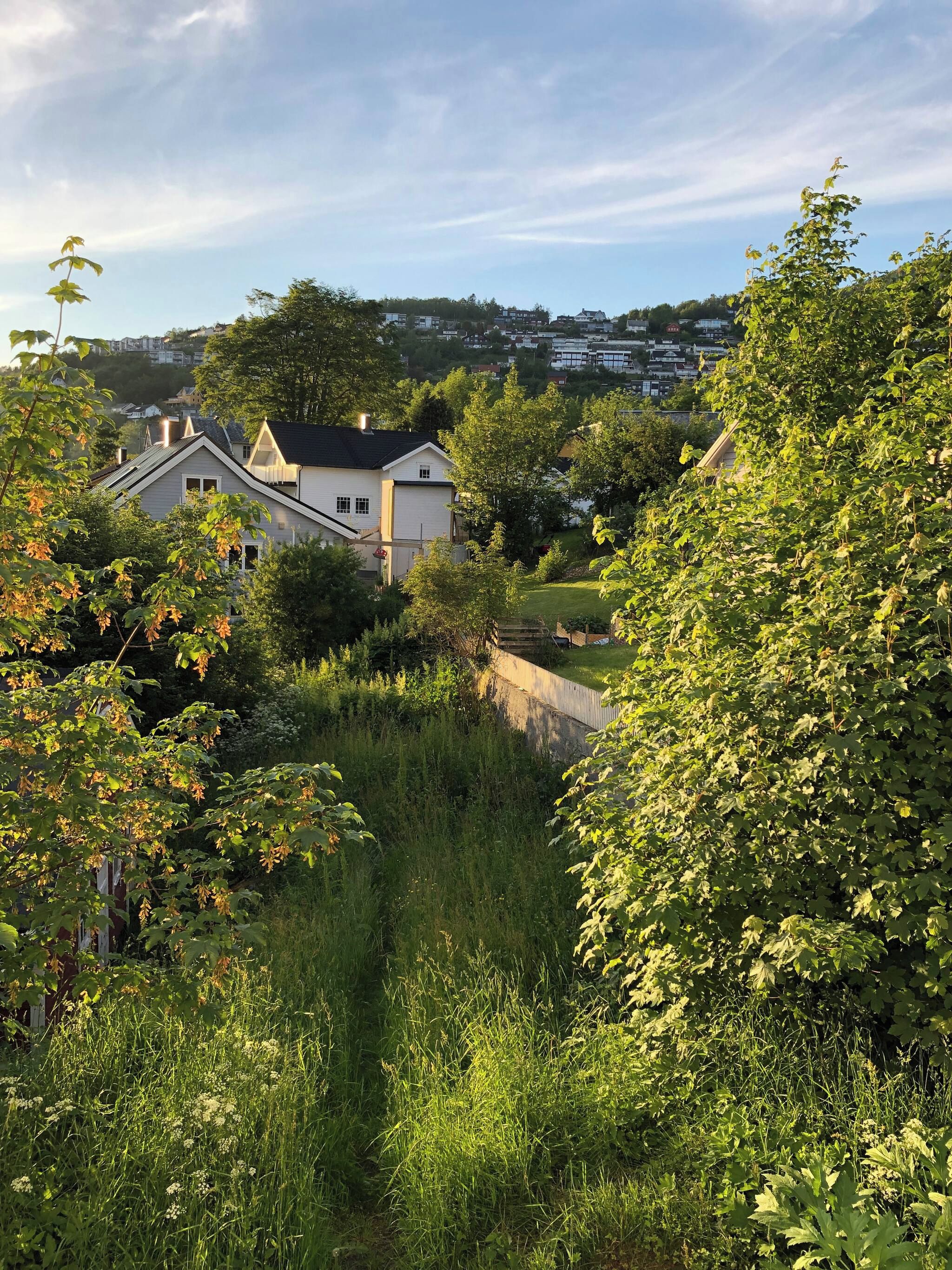 A residential area with houses surrounded by dense greenery and a clear sky.
