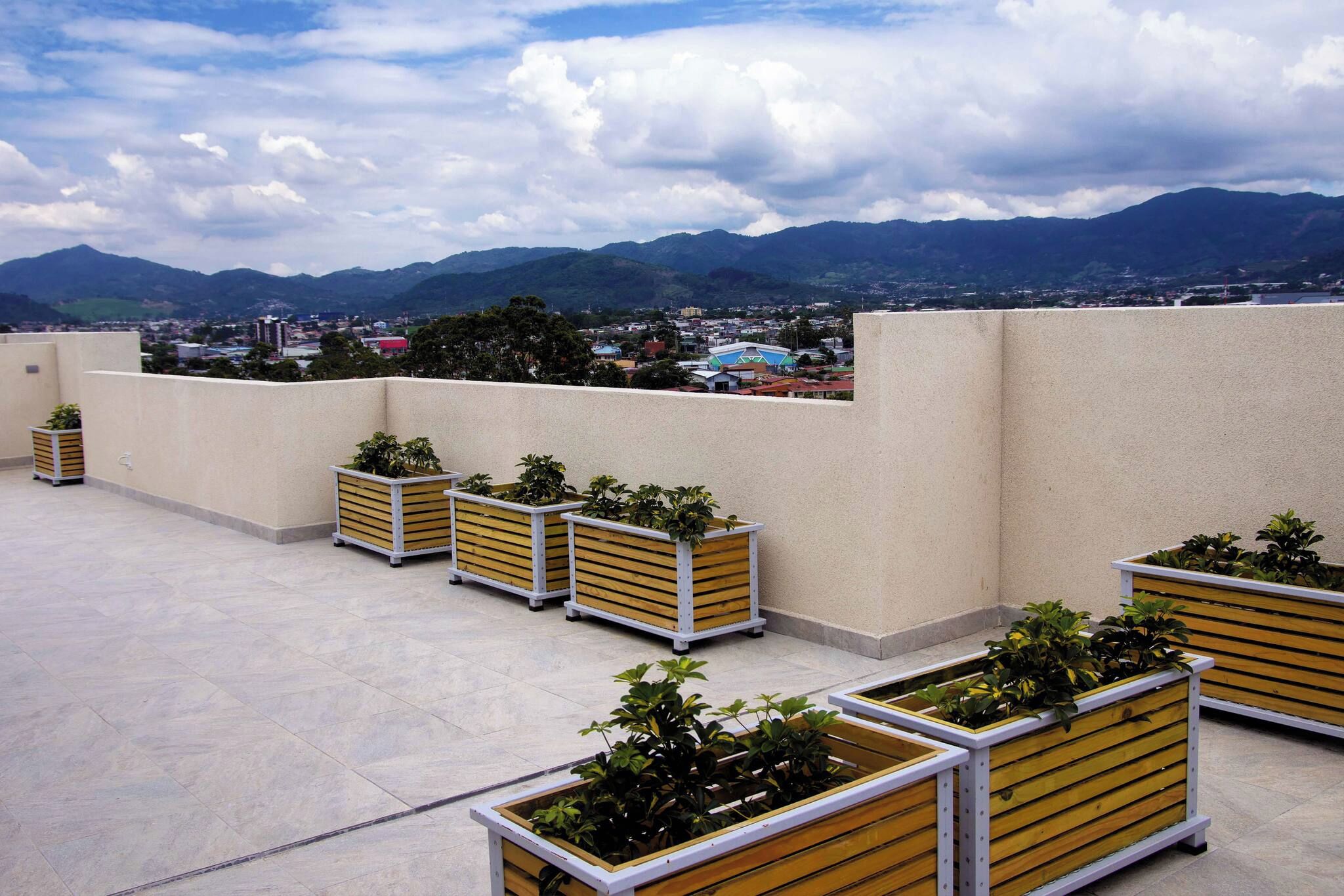 Una terraza en la azotea con múltiples macetas y vistas a un paisaje urbano y montañas.