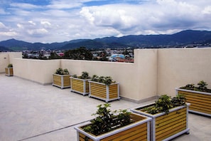 Una terraza en la azotea con múltiples macetas y vistas a un paisaje urbano y montañas.