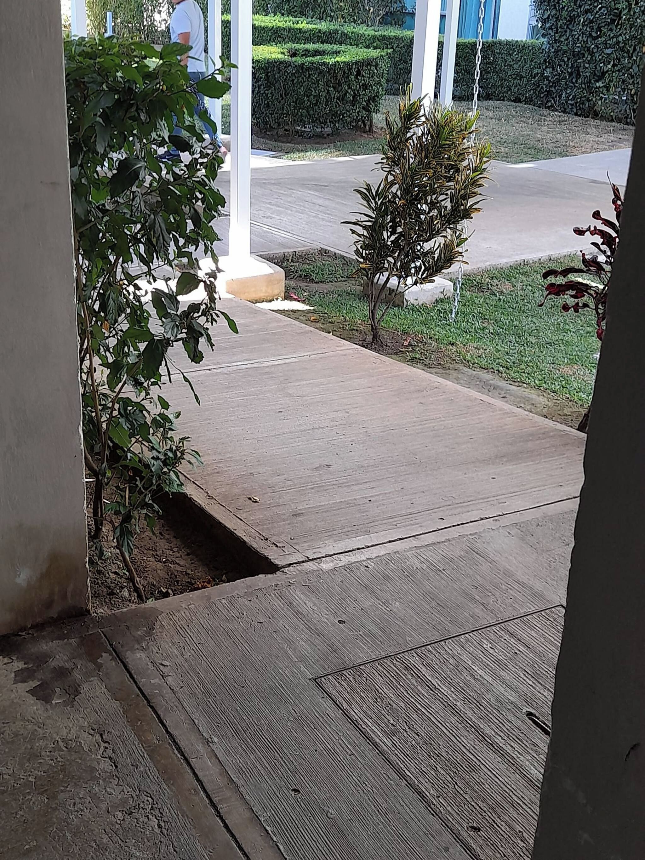 A concrete pathway leading to a building entrance, surrounded by greenery and a well-maintained lawn.