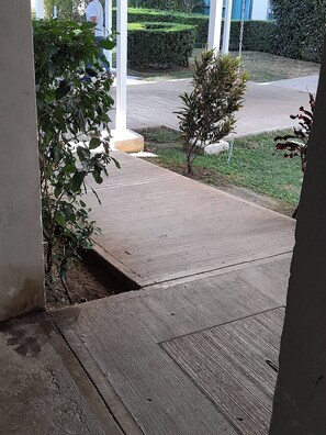 A concrete pathway leading to a building entrance, surrounded by greenery and a well-maintained lawn.