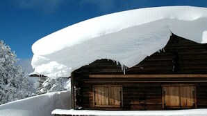 Exterior detail - Penkenblick in the Tasser House (Mayrhofen)