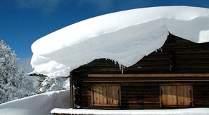 Unclassified image, 4 of 22, button - Penkenblick in the Tasser House (Mayrhofen)