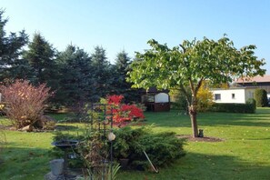 Un jardín con un bebedero para pájaros, un pequeño árbol y varios arbustos.