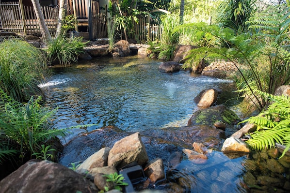 A natural pond surrounded by rocks and greenery.