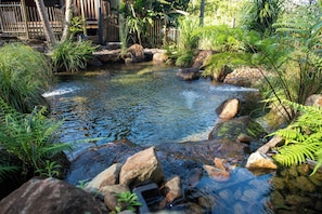 A natural pond surrounded by rocks and greenery. - Private Hinterland Cabin near Beaches & Rail Trail: Cabin 2 (Burringbar)