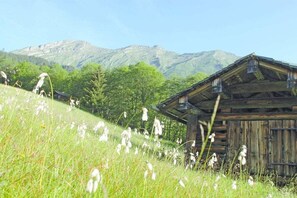 Une cabane en bois rustique, dotée d’un toit en pente, entourée d’un champ verdoyant parsemé de fleurs sauvages, avec des montagnes en arrière-plan.
