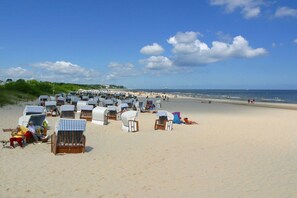Uma praia com fileiras de cadeiras de praia e guarda-sóis, uma faixa de areia e o oceano ao fundo.