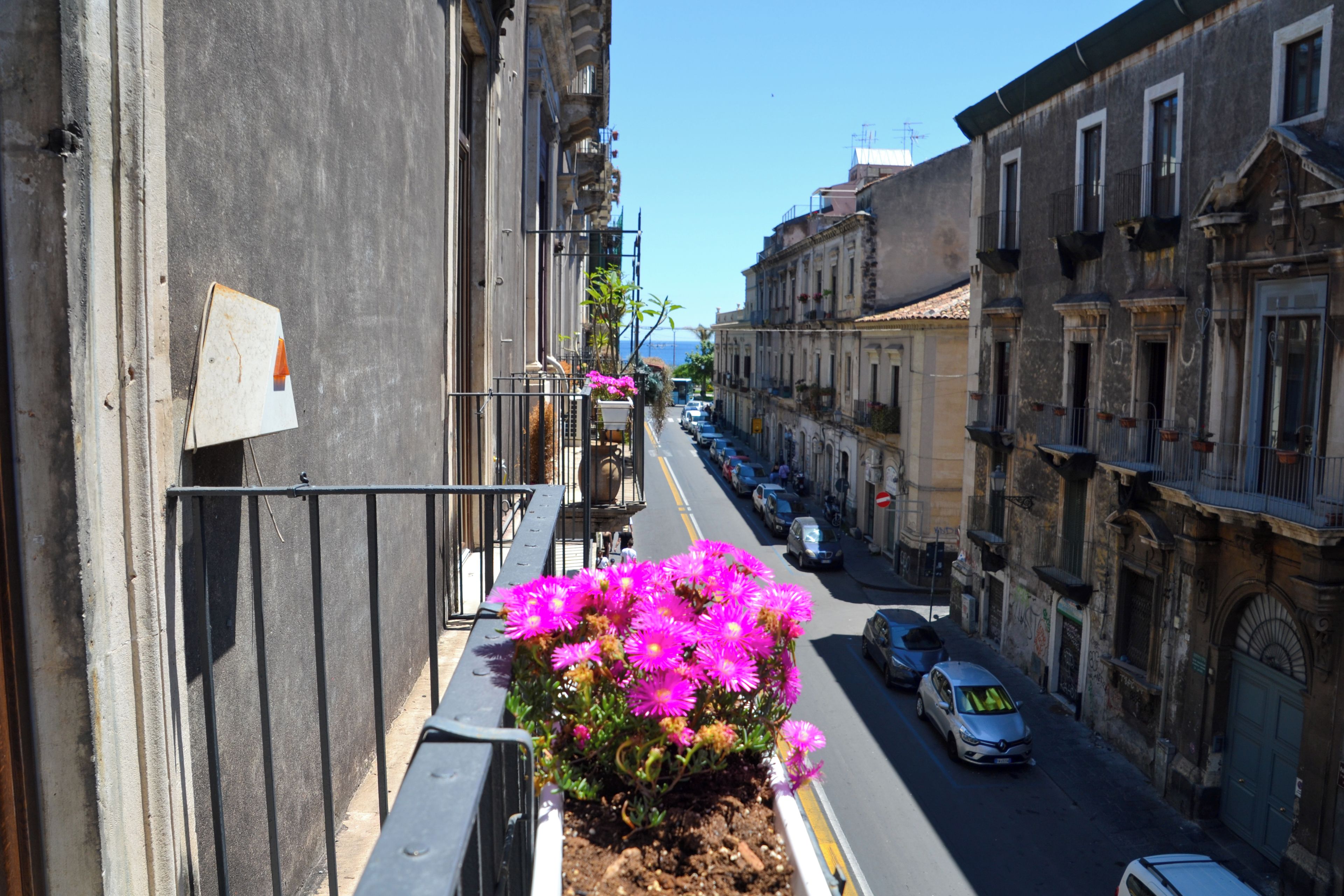 Une rue étroite, bordée de bâtiments des deux côtés, un balcon orné d’un pot de fleurs et des voitures garées.