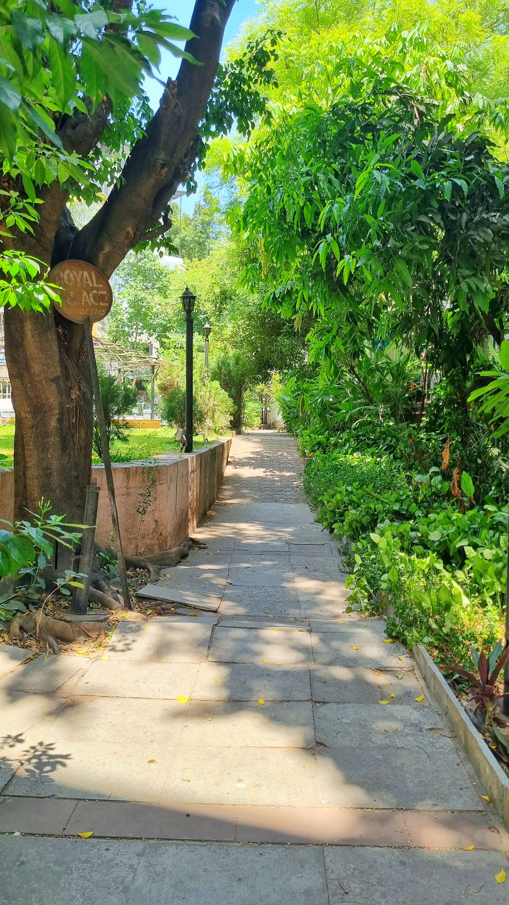 Un sendero pavimentado bordeado de vegetación exuberante y árboles, que conduce a una estructura distante.