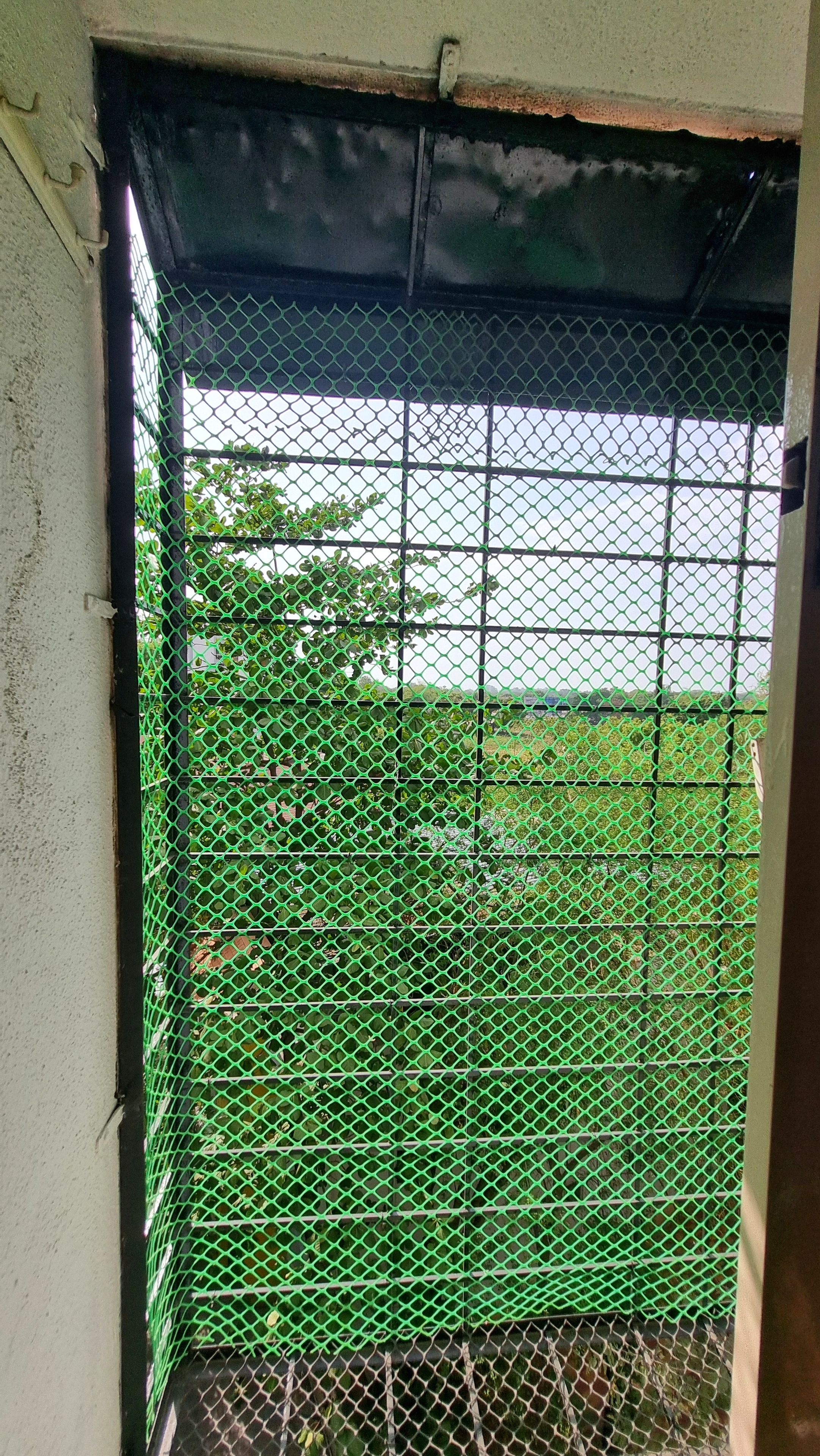 A view through a green metal mesh window, revealing a green landscape with trees and a clear sky.