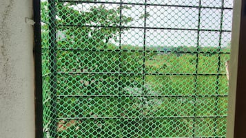 A view through a green metal mesh window, revealing a green landscape with trees and a clear sky.
