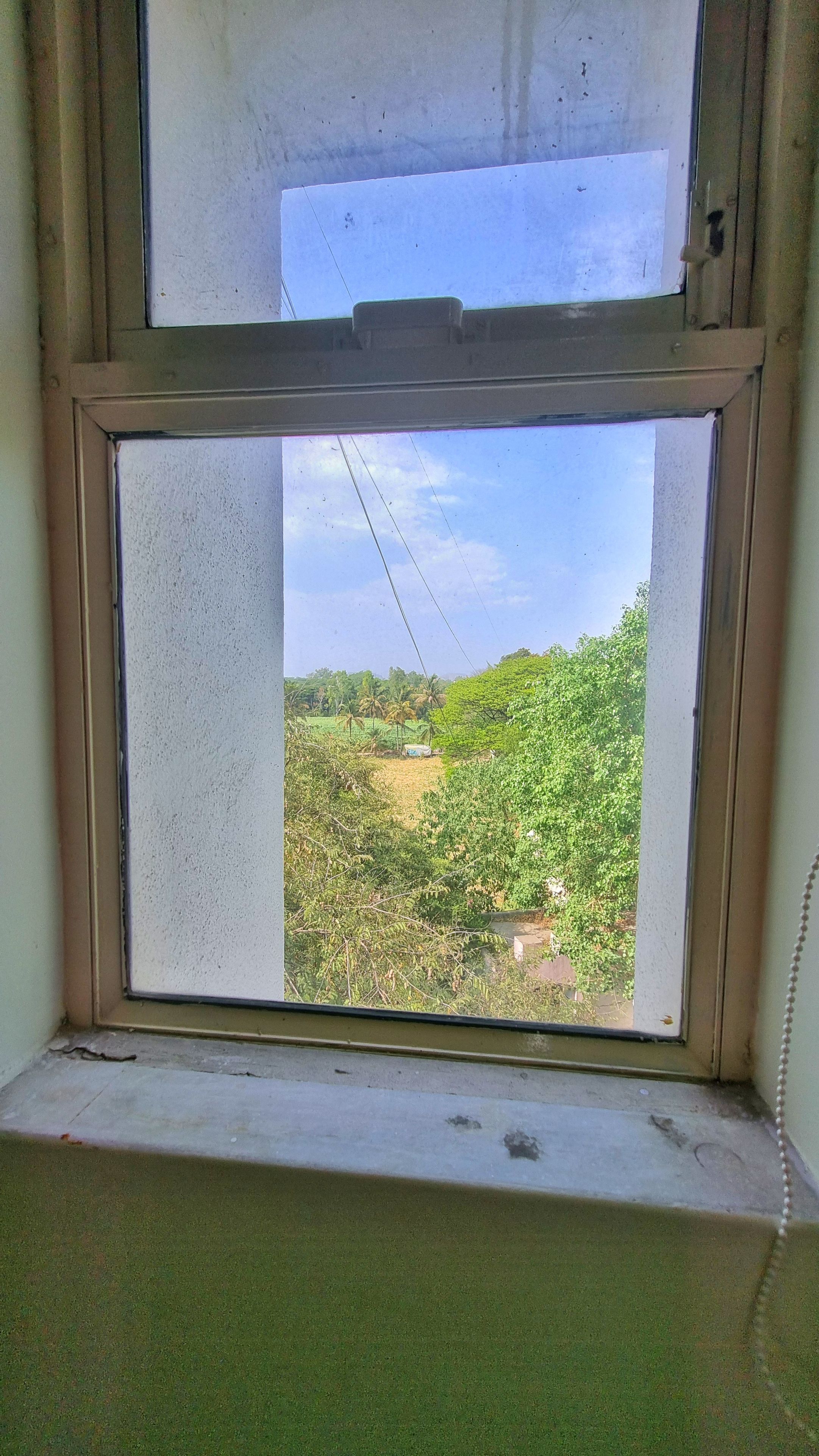 Una ventana con vistas a un paisaje verde, que incluye árboles y un campo.