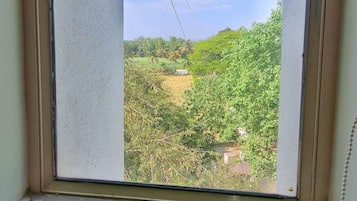 Una ventana con vistas a un paisaje verde, que incluye árboles y un campo.