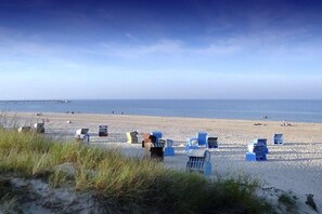 Une plage bordée de rangées de chaises longues, avec une jetée visible au loin.
