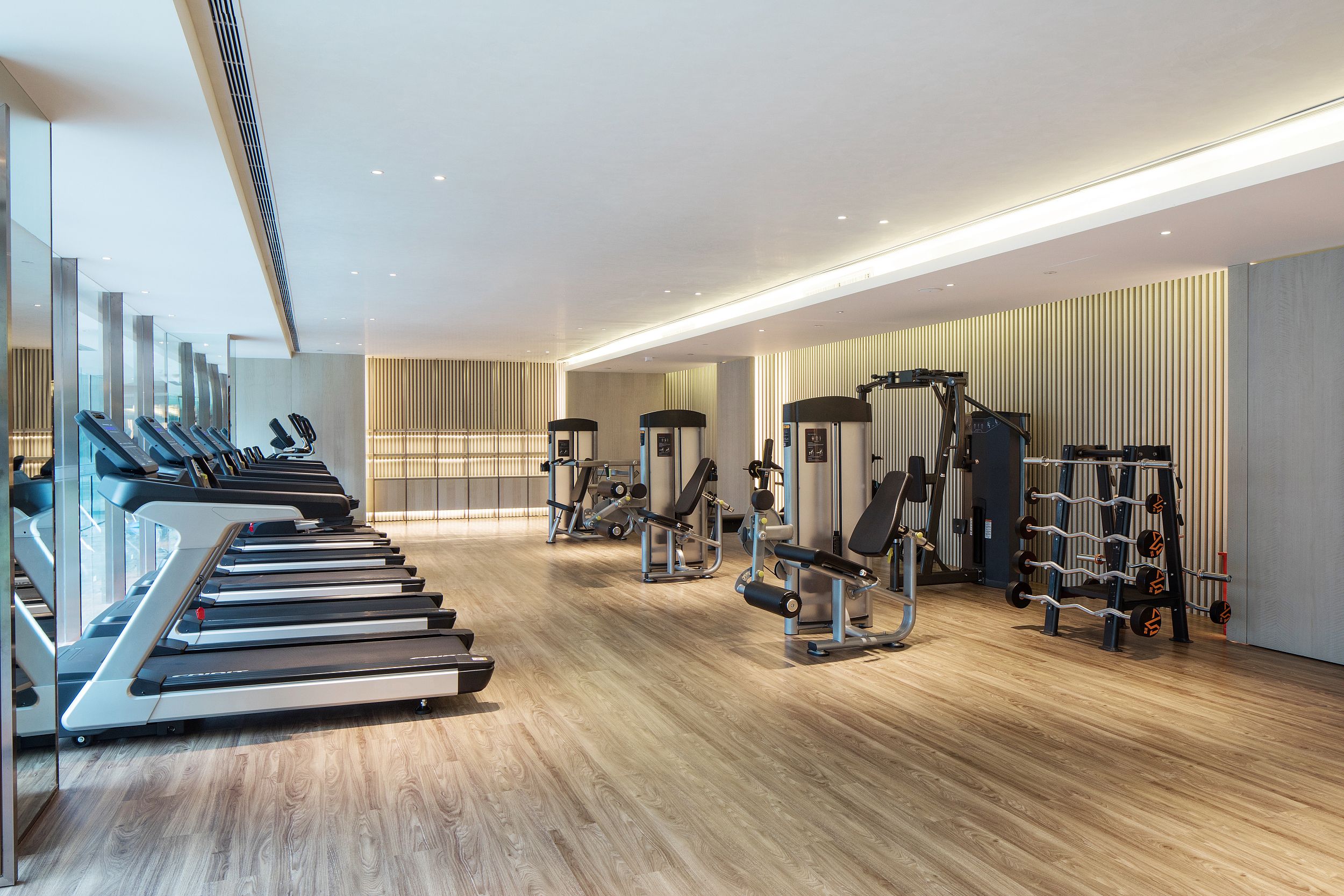 A modern gym with treadmills, weight machines, and a mirrored wall.