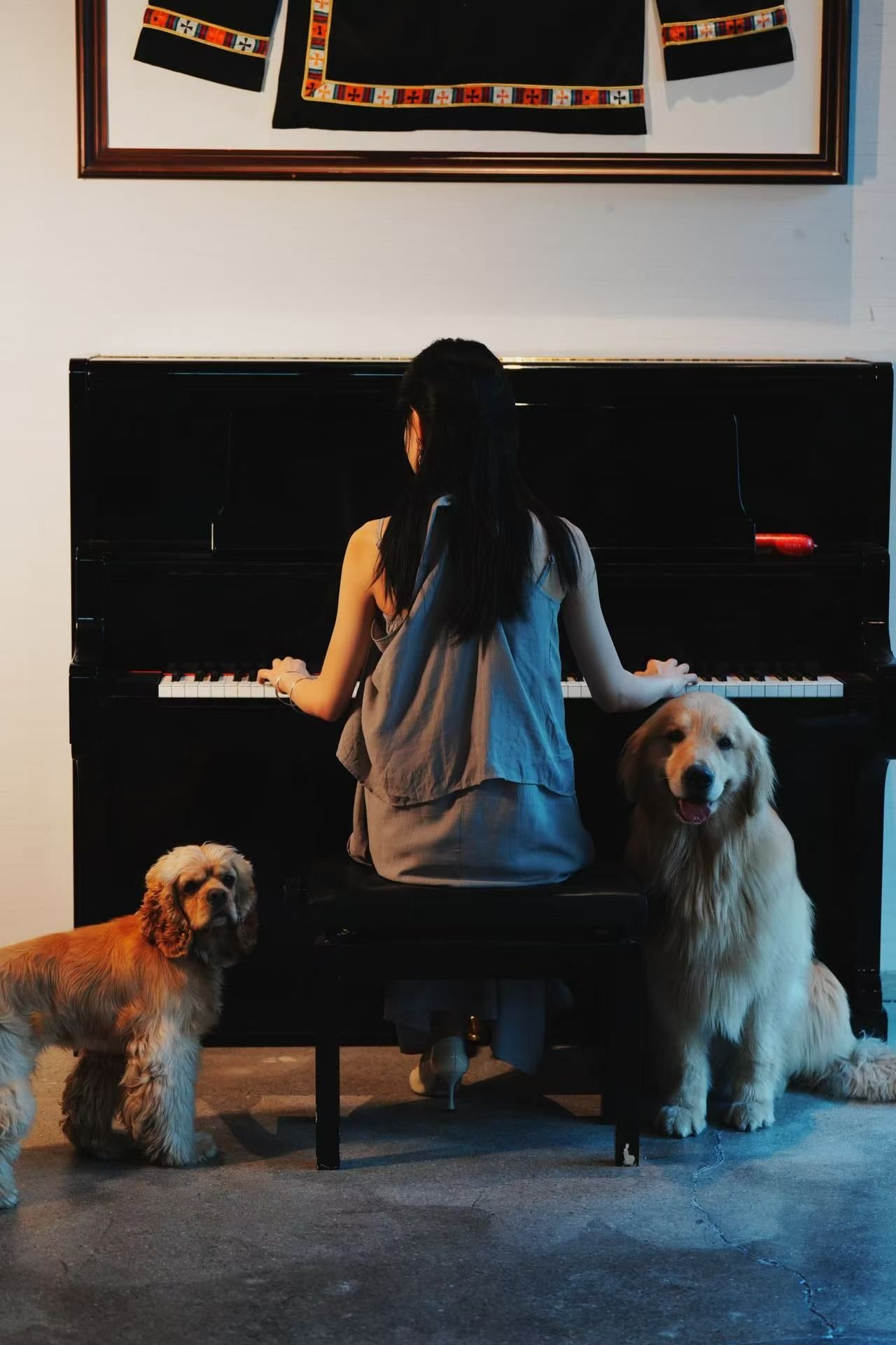 A person playing a piano with two dogs nearby.