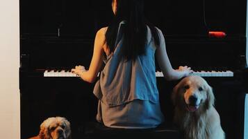 A person playing a piano with two dogs nearby.