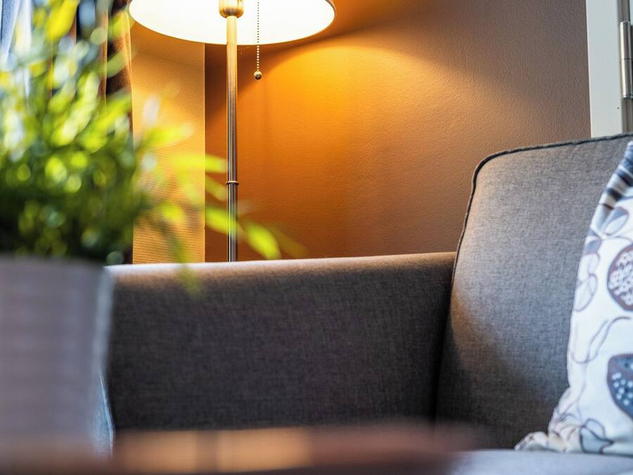 A modern living room with a sofa, a lamp, and a plant.