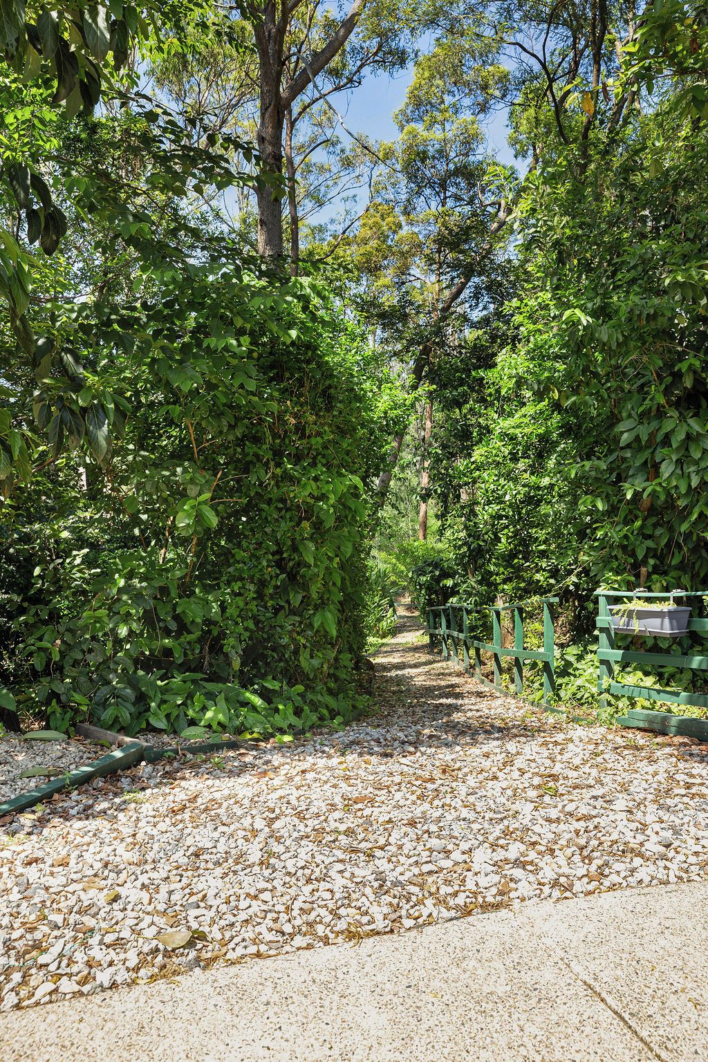 A pathway surrounded by dense foliage, leading to a green fence with a bench.