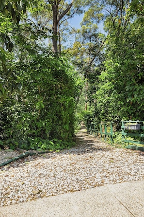 A pathway surrounded by dense foliage, leading to a green fence with a bench.