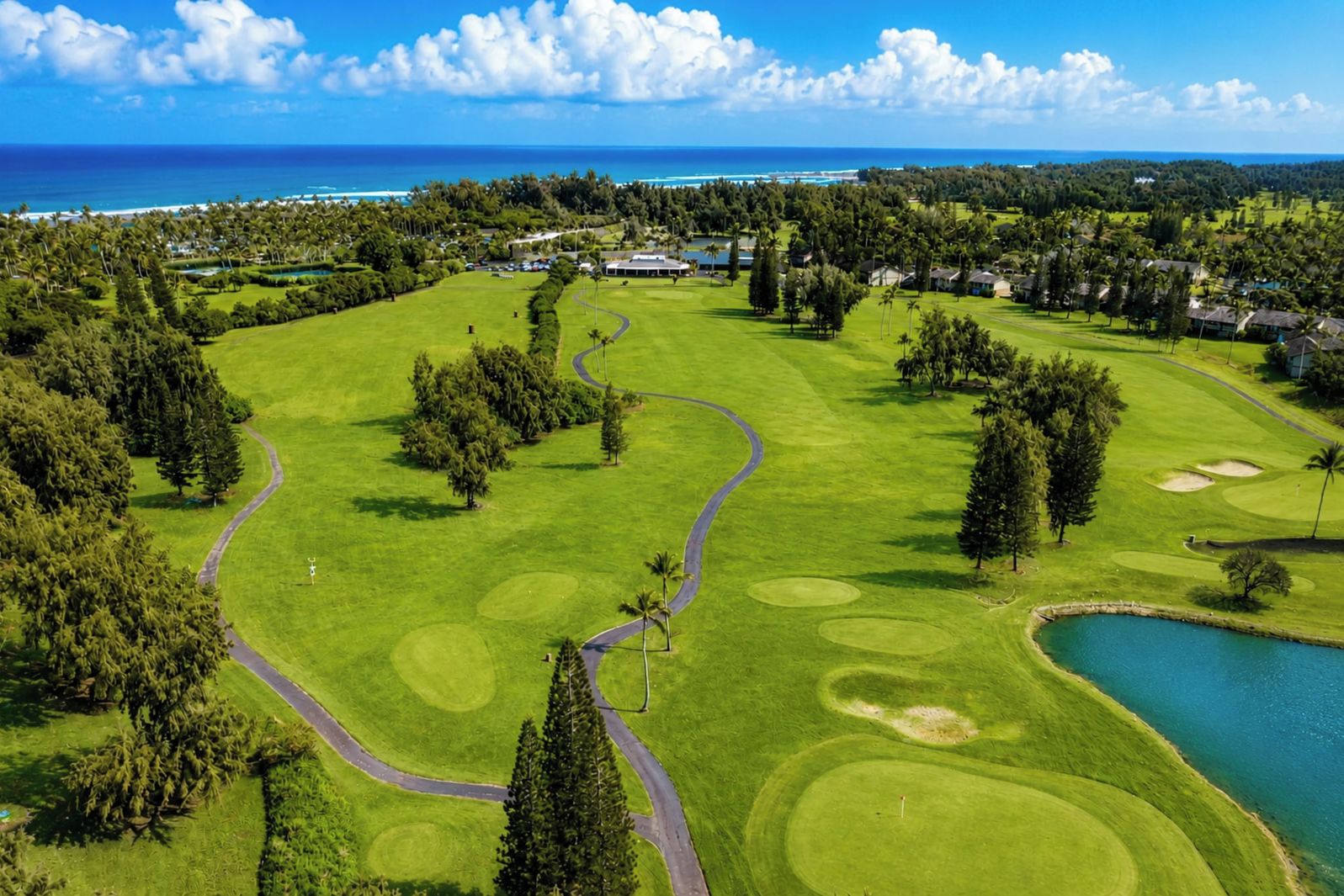 Un parcours de golf avec un obstacle d’eau, entouré d’arbres et offrant une vue sur l’océan.
