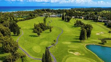 Un parcours de golf avec un obstacle d’eau, entouré d’arbres et offrant une vue sur l’océan.