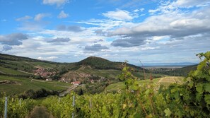 Weinlandschaft mit sanften Hügeln, einem kleinen Dorf und blauem Himmel.