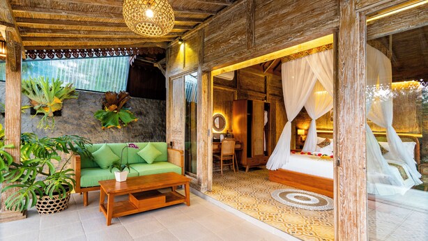 Una habitación con un sofá verde, una mesa de centro de madera y plantas en macetas.
