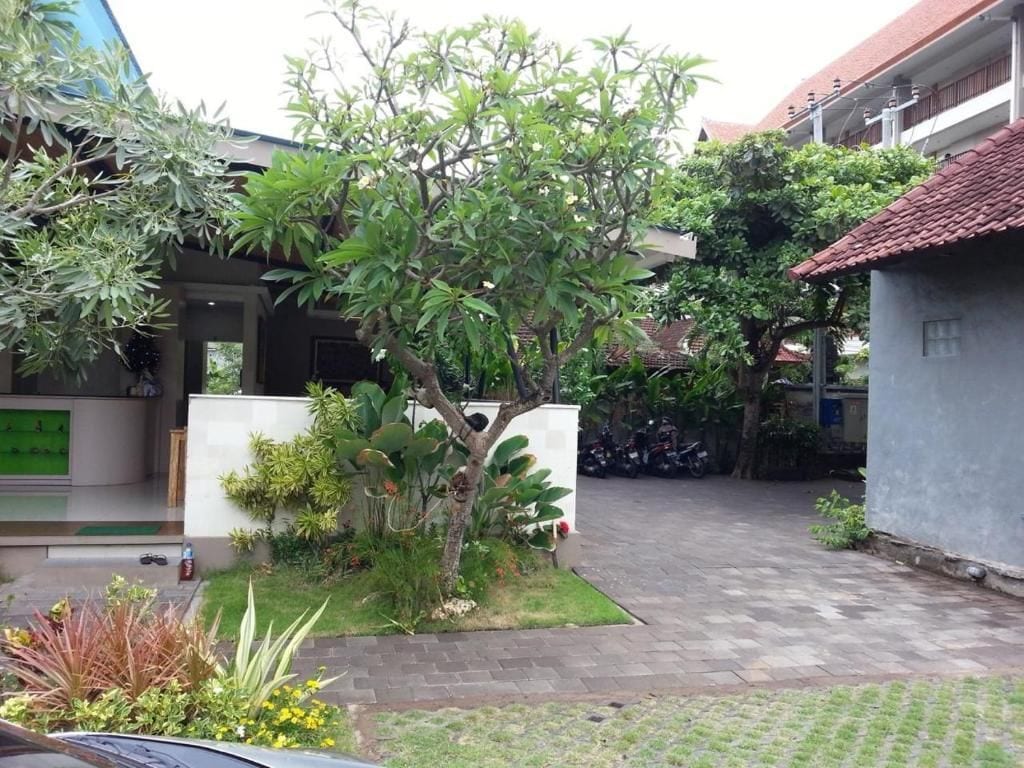 A residential area with a paved driveway, a tree, and a white wall.