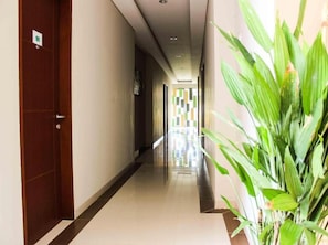 A hotel hallway with a wooden door marked '101' and a plant on the right.