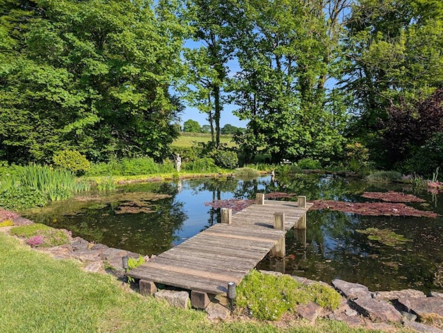 A wooden dock extending over a calm pond surrounded by lush greenery.