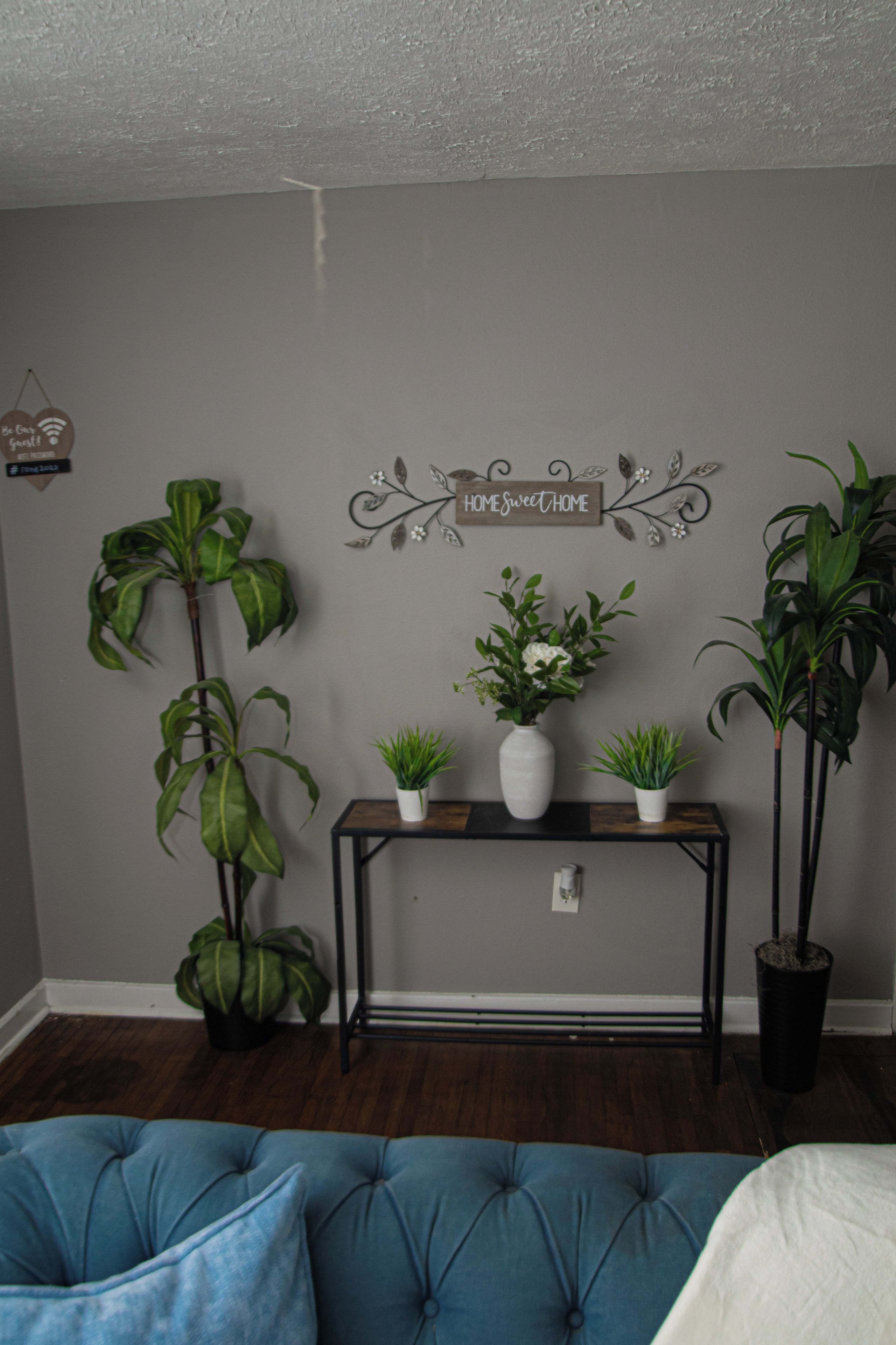 Una habitación con una pared gris, un letrero de madera que dice 'HOME sweet HOME' y varias plantas en macetas sobre una consola negra.