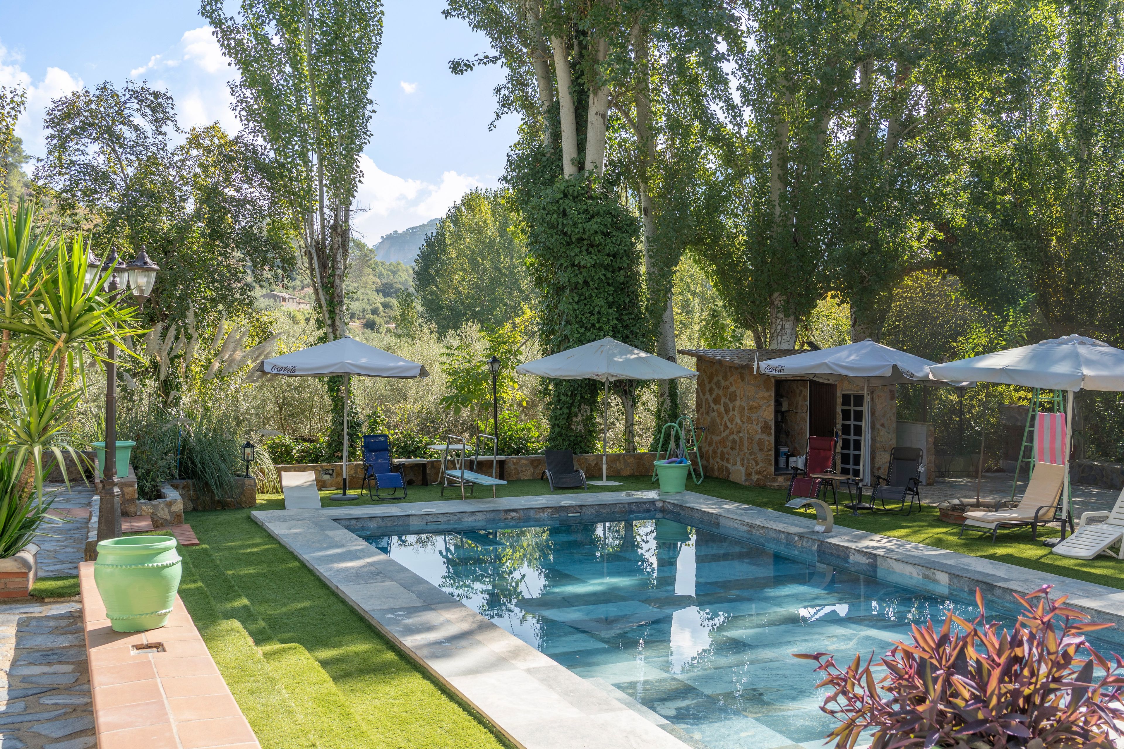 Une piscine entourée de verdure et de murs en pierre, avec des chaises longues et des parasols.