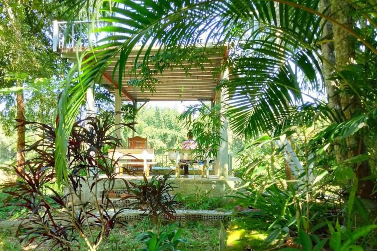 Un espacio al aire libre techado con estructura de madera, rodeado de abundante vegetación y árboles.