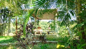 Un espacio al aire libre techado con estructura de madera, rodeado de abundante vegetación y árboles.