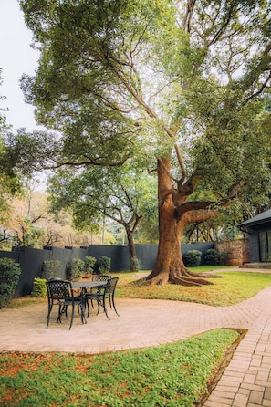 A tree-lined outdoor area with a paved patio and a table with chairs.