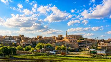 A historic town with traditional architecture, including a prominent minaret, under a clear blue sky.