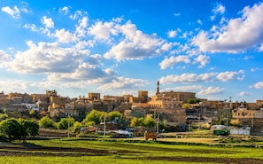 A historic town with traditional architecture, including a prominent minaret, under a clear blue sky. - Kasr'ı Cihan Hotel (Midyat)