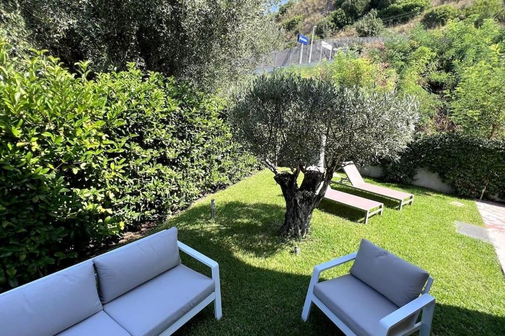 Un giardino con un albero, due poltrone bianche e un vialetto lastricato.