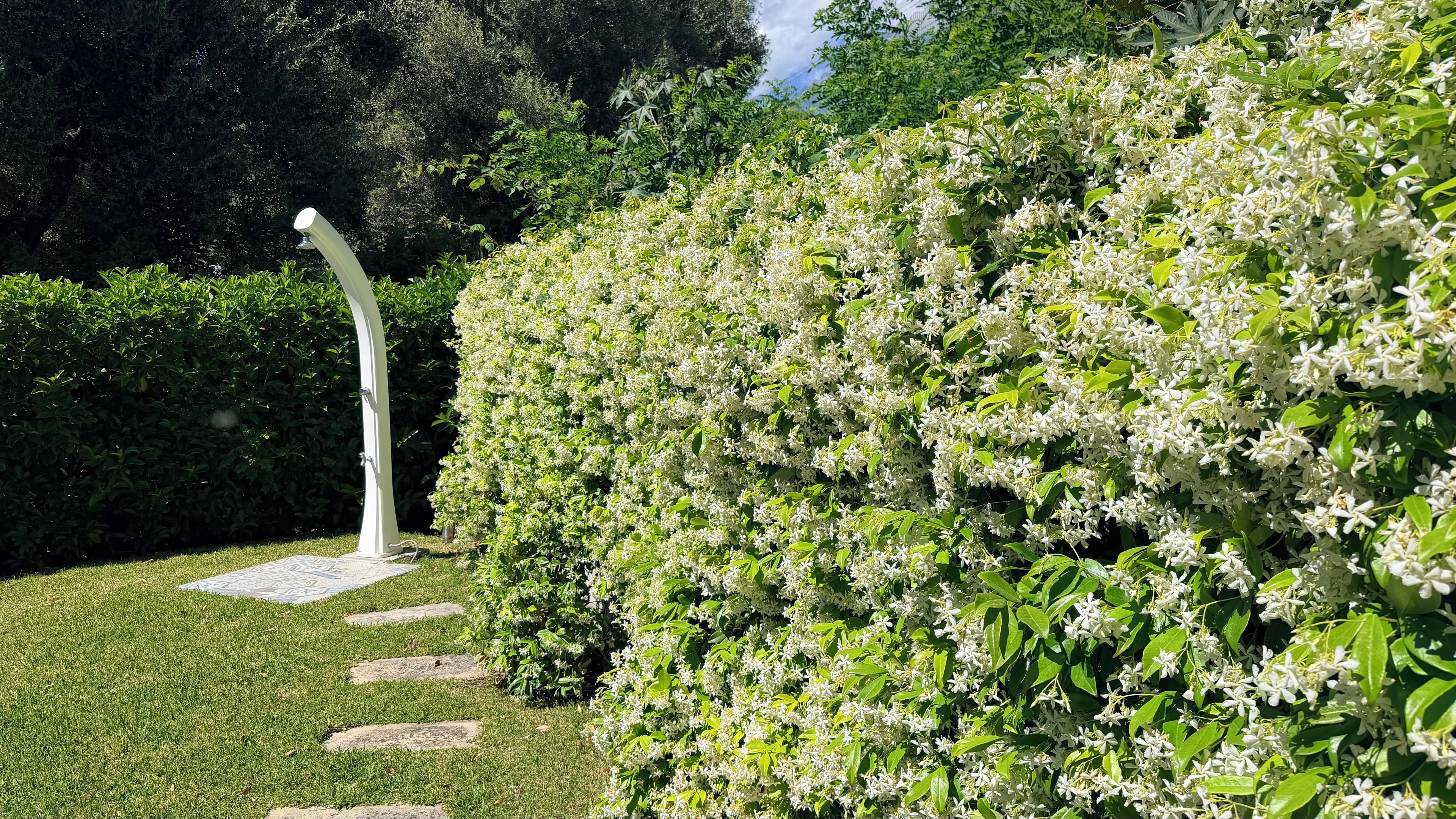 Un vialetto nel giardino con pietre di passaggio che conduce a una scultura bianca.