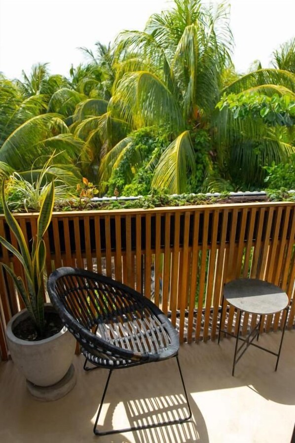 Unclassified image, 1 of 49, button - Casa Peregrino Holbox (Holbox)