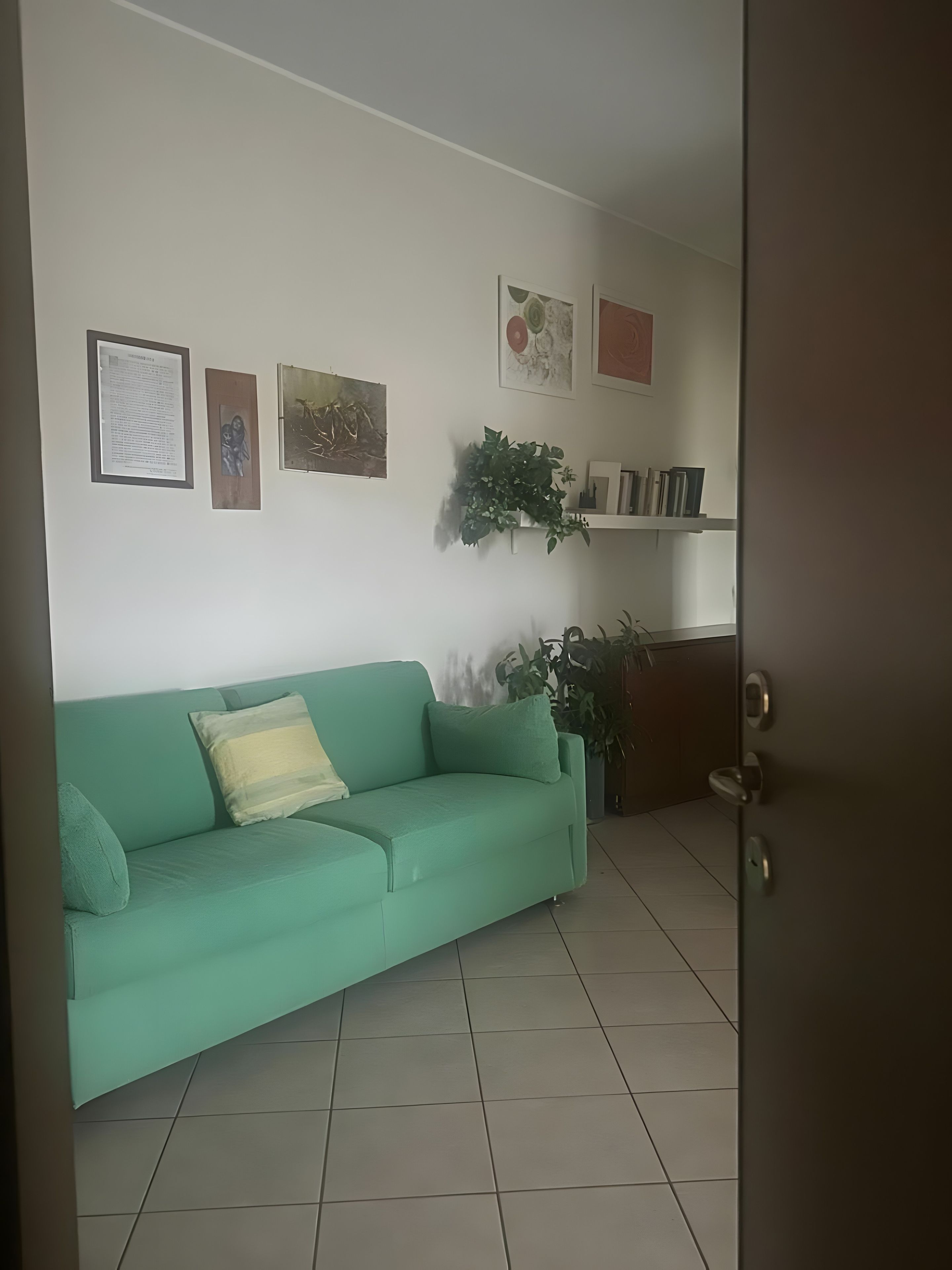 Una habitación con un sofá verde, una puerta y una estantería con libros y una planta.