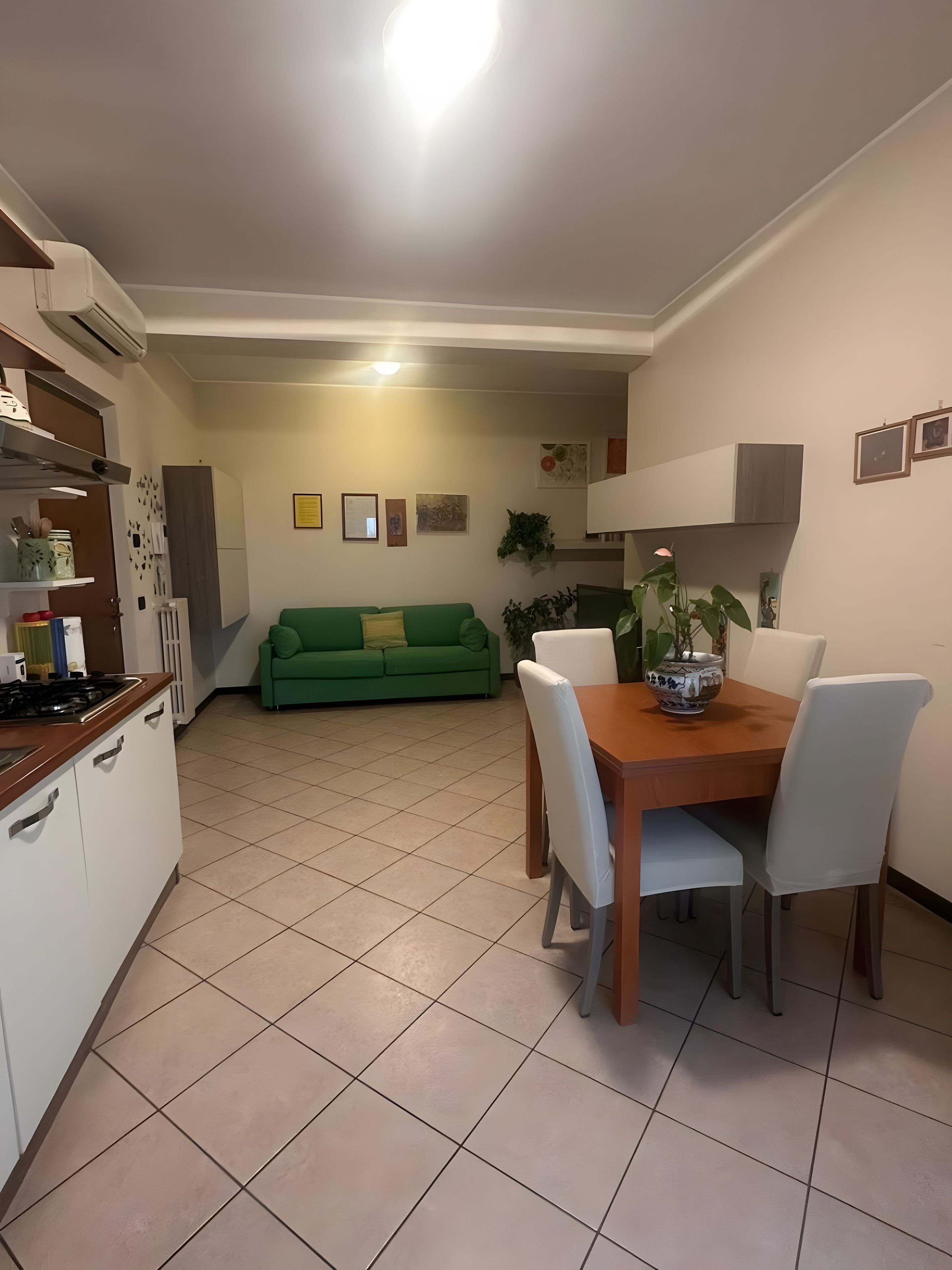 Una cocina con comedor, un sofá verde y una planta en maceta sobre la mesa.